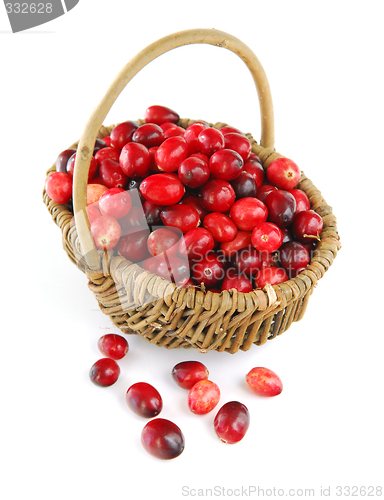 Image of Cranberries in a basket