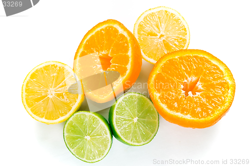 Image of Pile of wet citrus