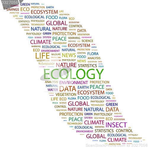Image of ECOLOGY.