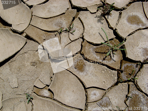 Image of Cracked ground texture