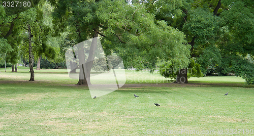 Image of park scenery