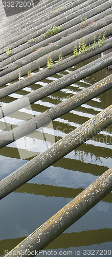 Image of water and timber needles