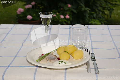 Image of Swedish midsummer meal