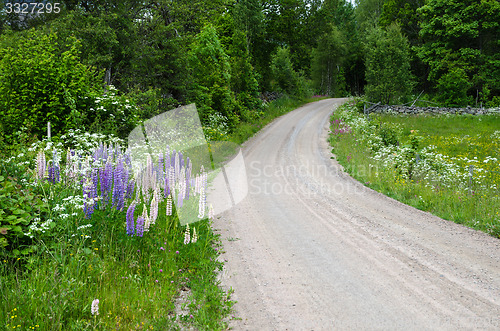 Image of Summer flowers by a country road