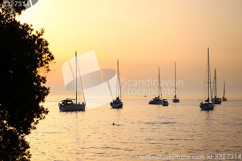 Image of Anchored sailboats at sunset