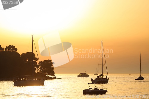 Image of Sailboats near coast at sunset