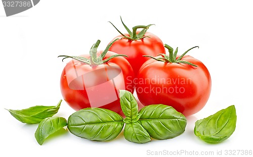 Image of fresh tomatoes and basil leaves