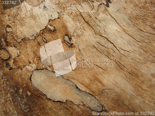 Image of wood texture