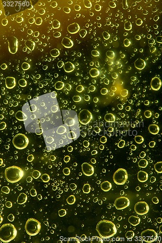 Image of Droplets on glass