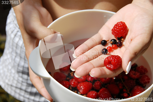 Image of Holding red raspberries and currants in the hand