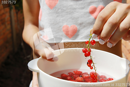 Image of Hand holding red currants