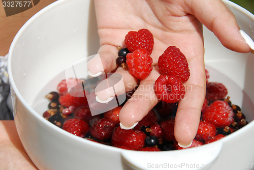 Image of Holding raspberries in the hand