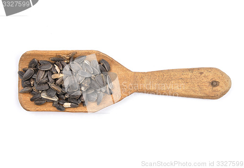 Image of Bird seed on shovel