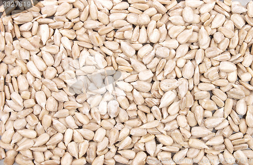 Image of Sunflower seeds background