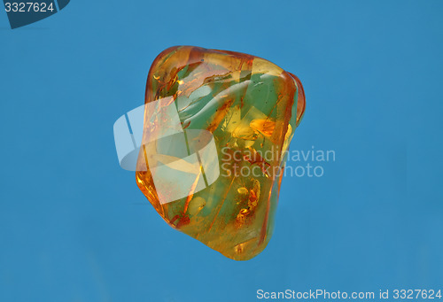 Image of Amber on blue