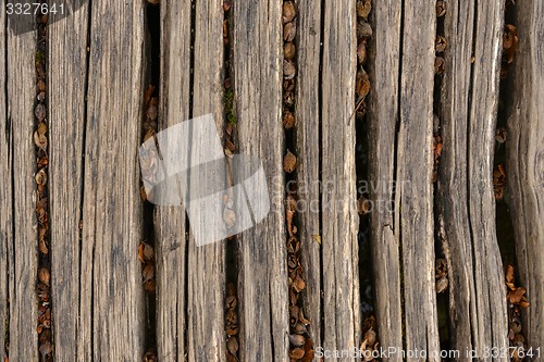 Image of Closeup photo of wooden floor panels