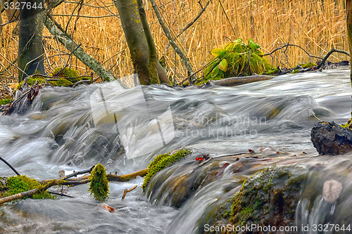 Image of Fast mountain creek flowing