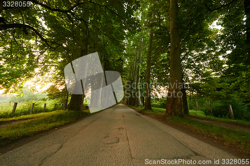 Image of sunrise in alley