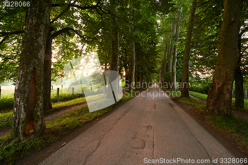 Image of sunrise in alley