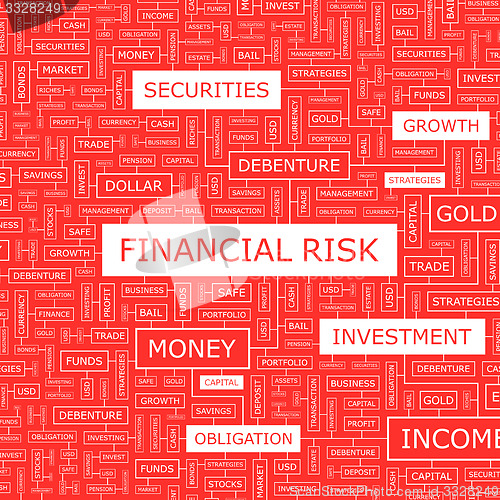Image of FINANCIAL RISK