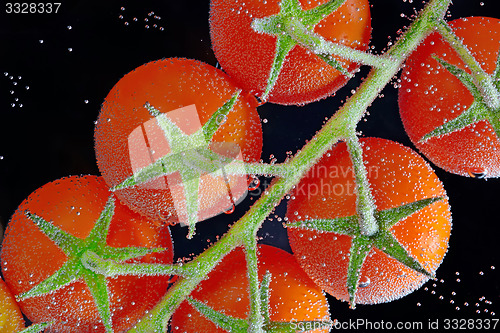 Image of fresh tomatoes in water