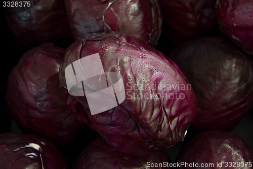 Image of red cabbage