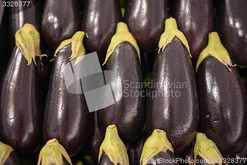 Image of Eggplant aubergine brinjal