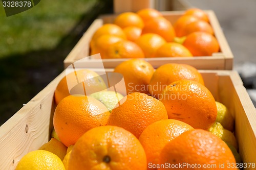 Image of Oranges in wooden crates