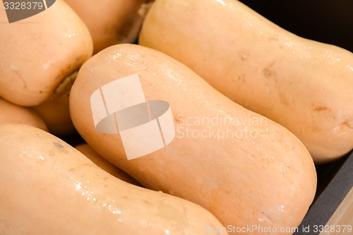 Image of elongated pumpkins