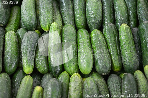 Image of green cucumbers