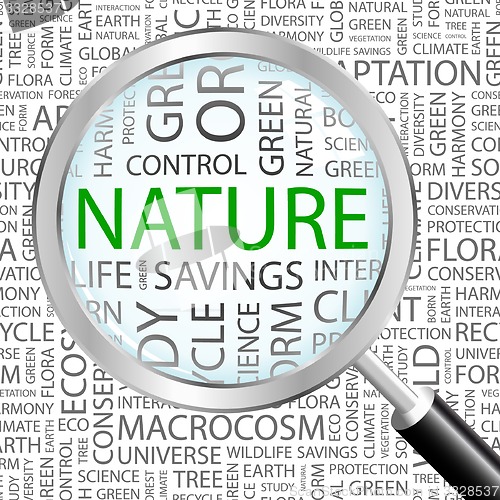 Image of NATURE.