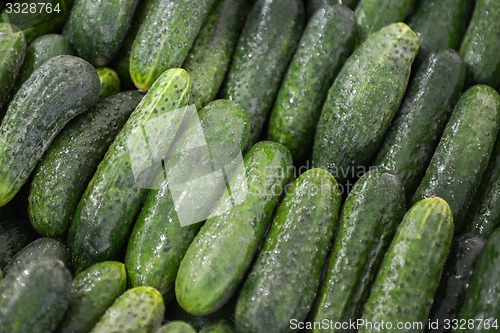 Image of green cucumbers