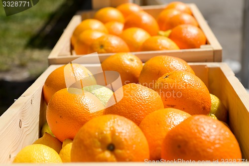 Image of Oranges in wooden crates