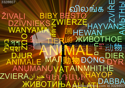 Image of animal multilanguage wordcloud background concept glowing