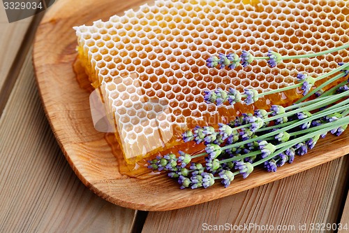 Image of honeycomb