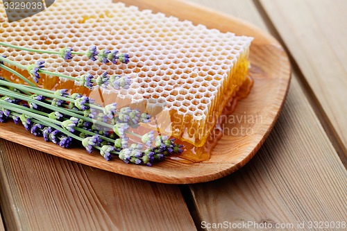 Image of honeycomb