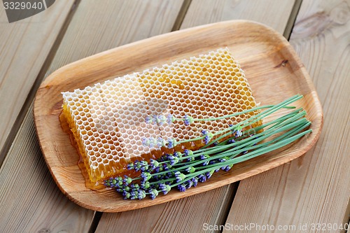 Image of honeycomb