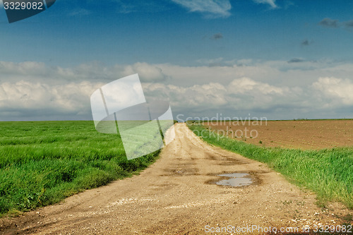 Image of Landscape