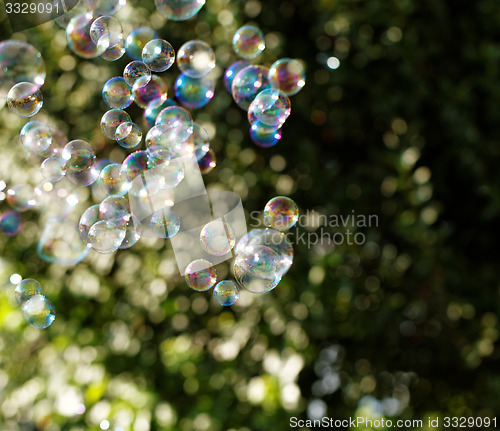 Image of Soap bubbles