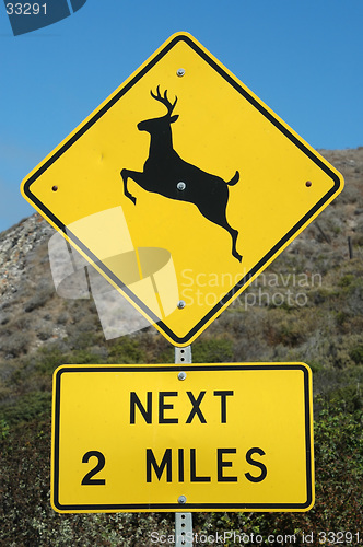 Image of Deer Crossing