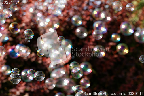 Image of Soap bubbles