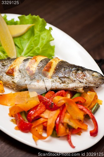 Image of rainbow trout fish