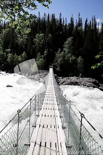 Image of Suspension bridge