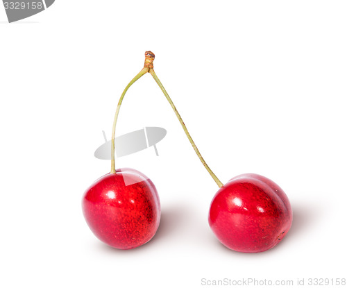 Image of Two red juicy sweet cherries sloping