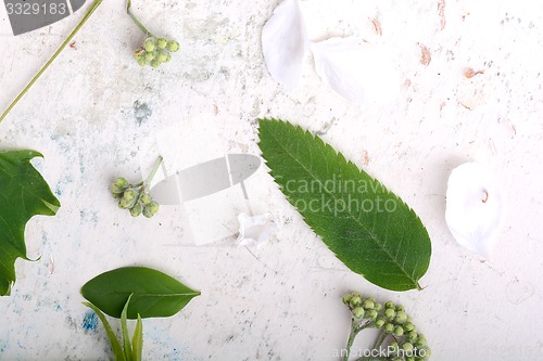 Image of Abstract floral background in vintage style. flowers on old  watercolor background