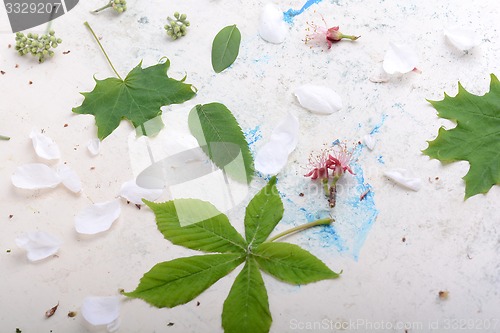Image of Abstract floral background in vintage style. flowers on old  watercolor background