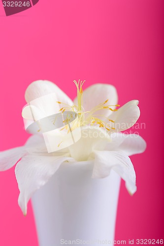 Image of bouquet of white flowers