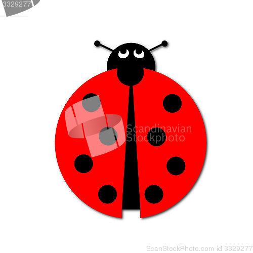 Image of Ladybug