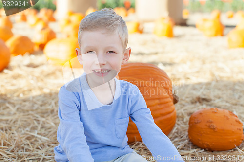 Image of pumpkin patch