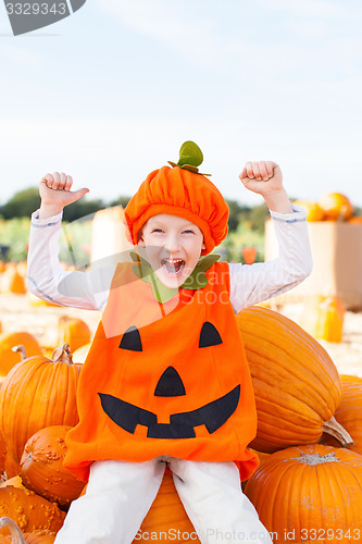 Image of pumpkin patch